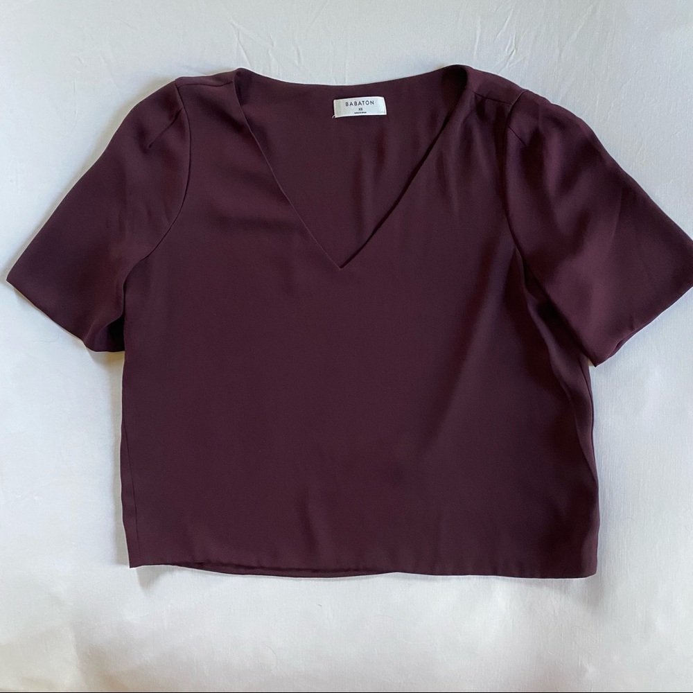 Aritzia Babaton Randy Blouse